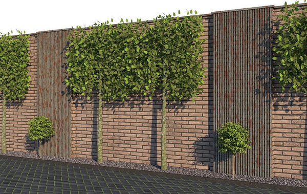 Tường bao sử dụng gạch ốp tường sẽ hạn chế tối đa sự hư hỏng của lớp tường bên trong và giúp diện mạo không gian thêm bắt mắt