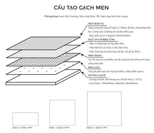 cau tao gach men