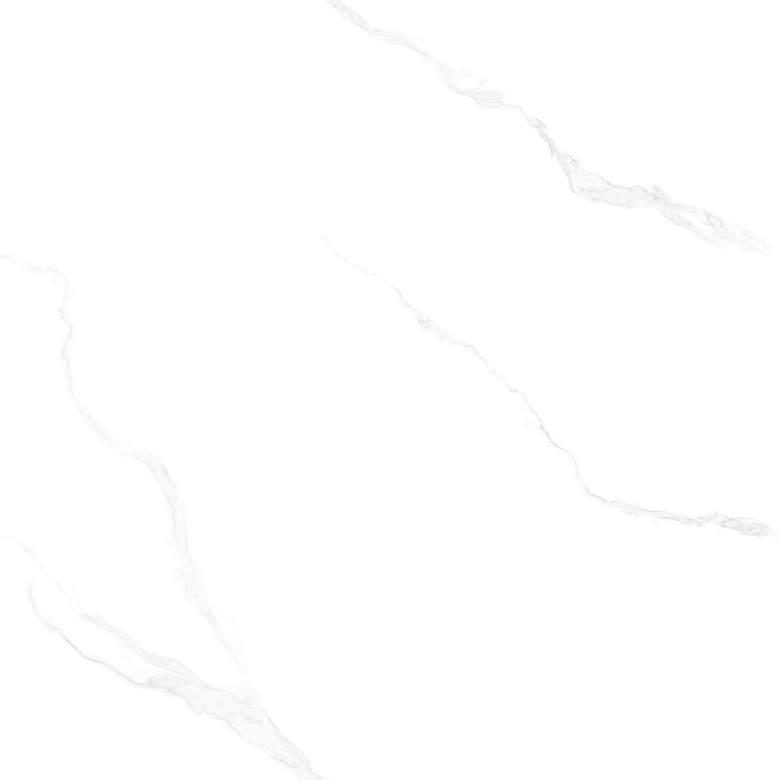 Gạch ốp lát CGD1010009S4