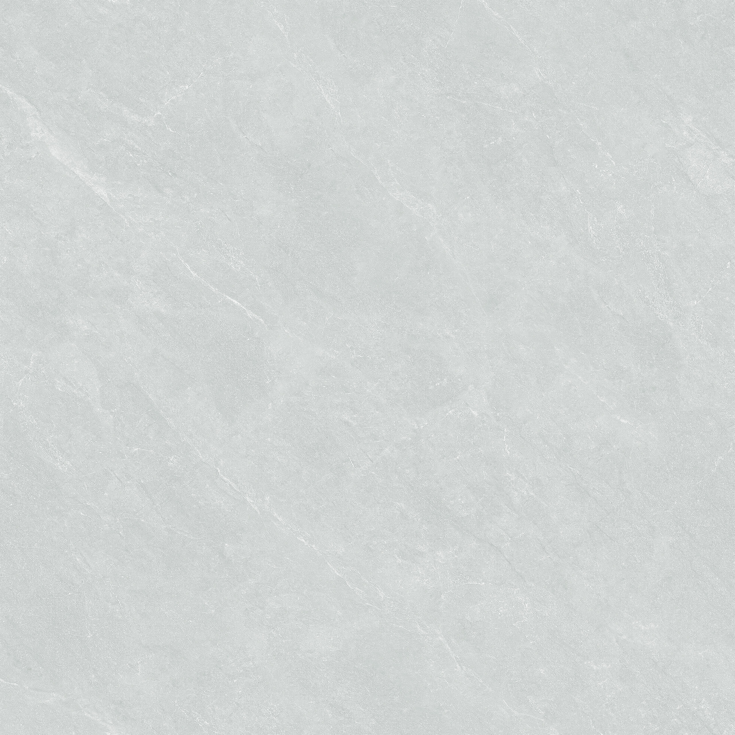 Gạch ốp lát CPD11002S5