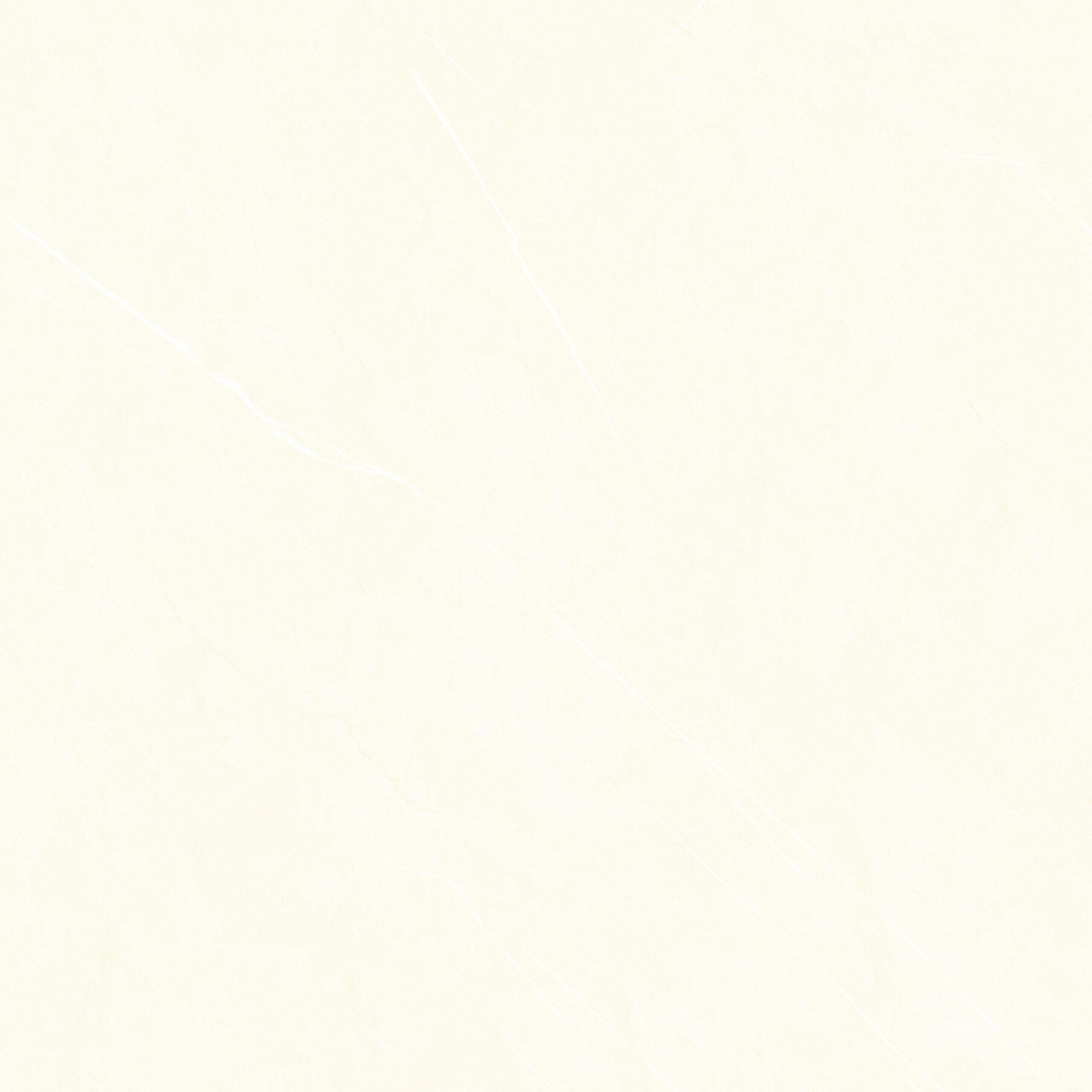 Gạch ốp lát CSG6060145S5