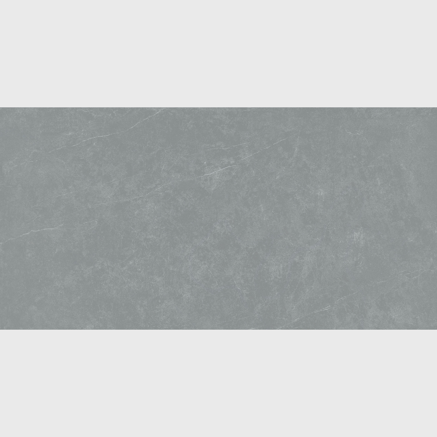 Gạch ốp tường CSM48029S5