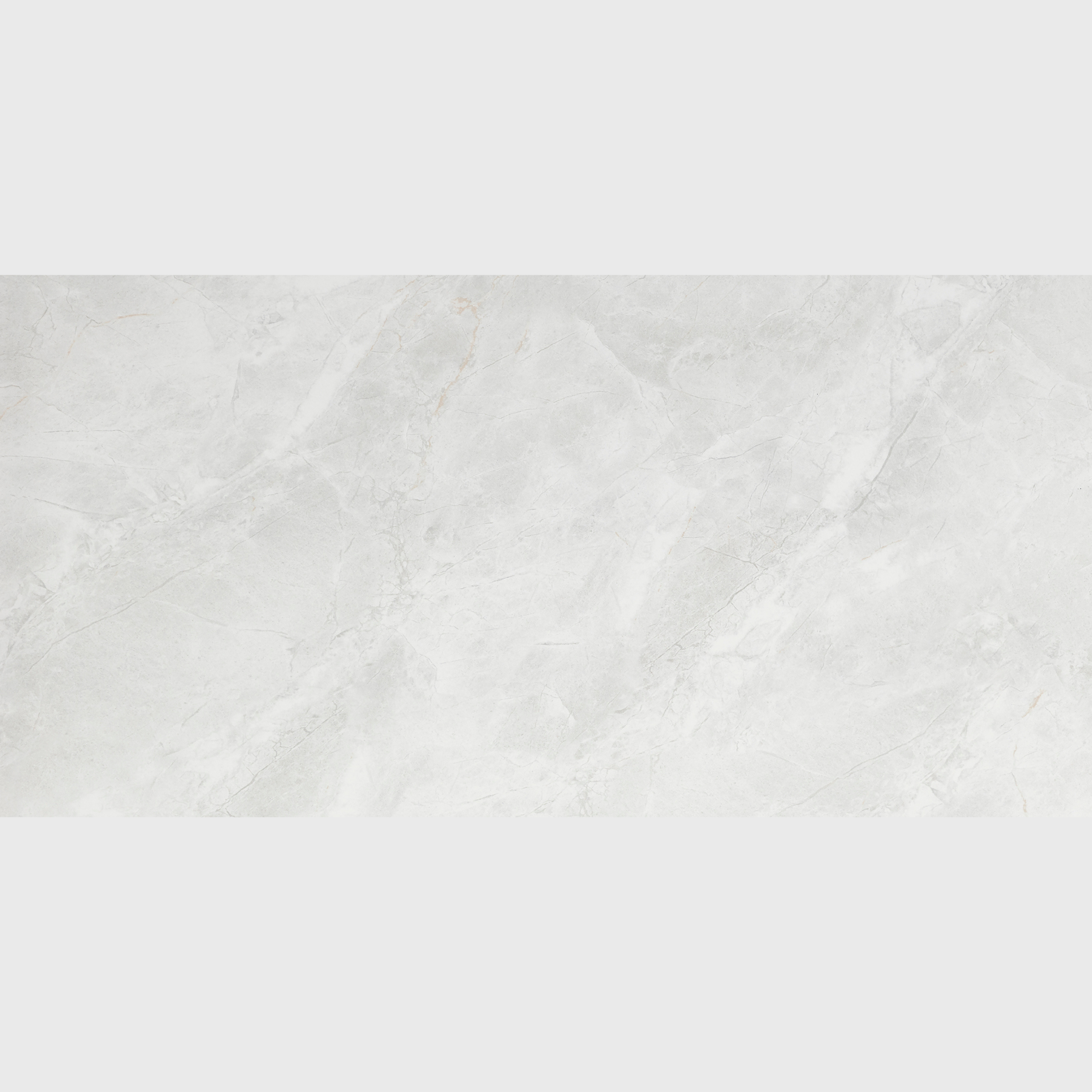 Gạch ốp tường PPD4080004S2