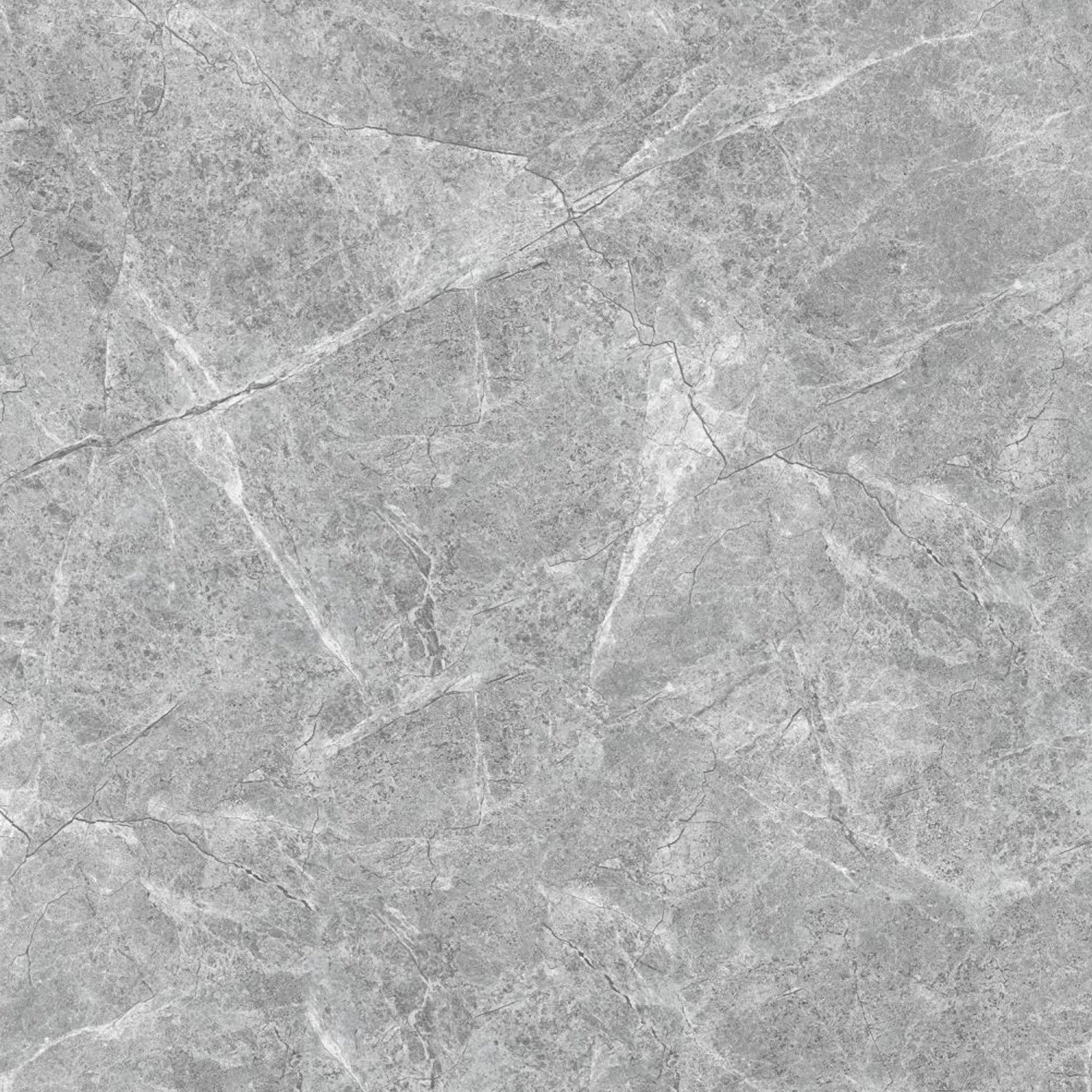 Gạch ốp lát PPG6060001S3