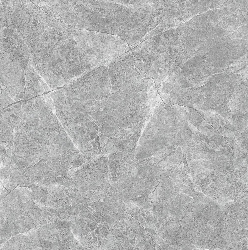 Gạch ốp lát PPG8080001S3