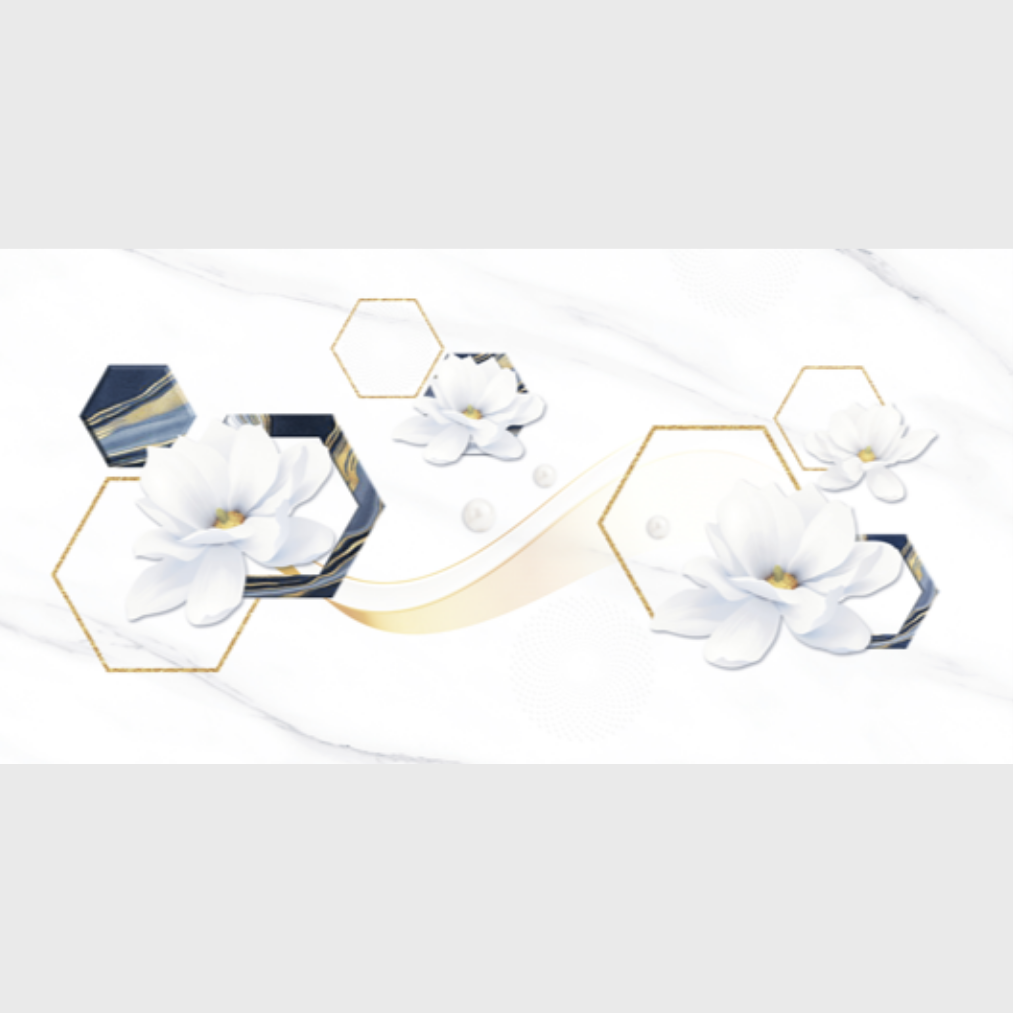 Gạch ốp tường RPD4080002S2