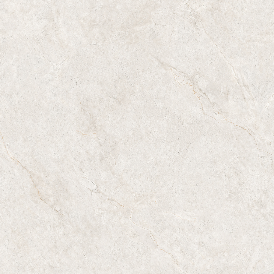 Gạch ốp lát CSG88006 S6